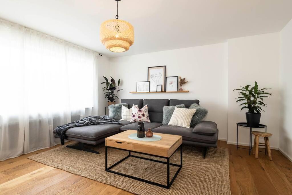 Luxury Apartment On The Rhein Busingen am Hochrhein Екстериор снимка