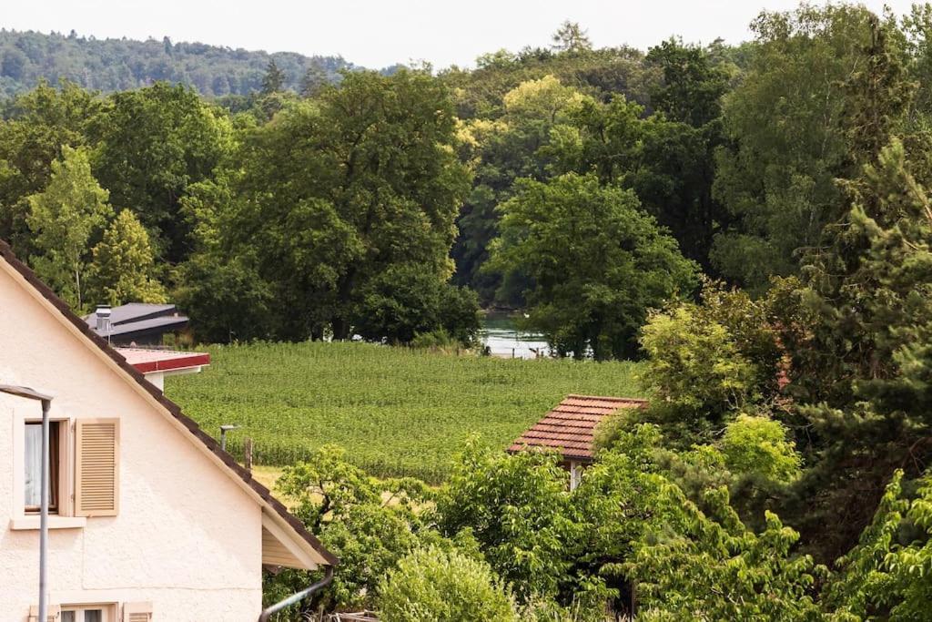 Luxury Apartment On The Rhein Busingen am Hochrhein Екстериор снимка