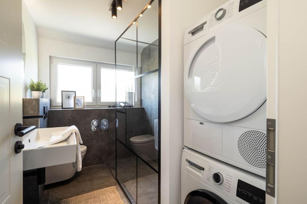 Luxury Apartment On The Rhein Busingen am Hochrhein Екстериор снимка