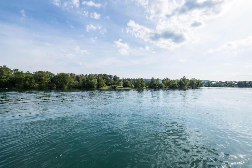 Luxury Apartment On The Rhein Busingen am Hochrhein Екстериор снимка