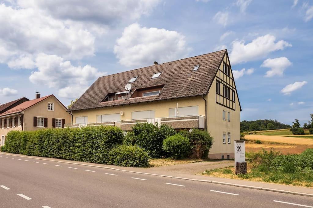 Luxury Apartment On The Rhein Busingen am Hochrhein Екстериор снимка