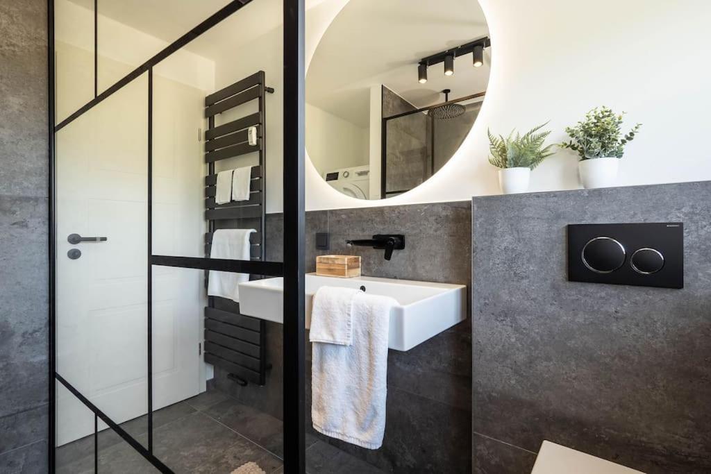 Luxury Apartment On The Rhein Busingen am Hochrhein Екстериор снимка