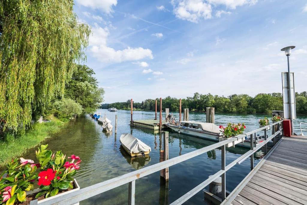Luxury Apartment On The Rhein Busingen am Hochrhein Екстериор снимка