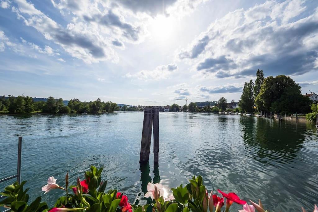 Luxury Apartment On The Rhein Busingen am Hochrhein Екстериор снимка
