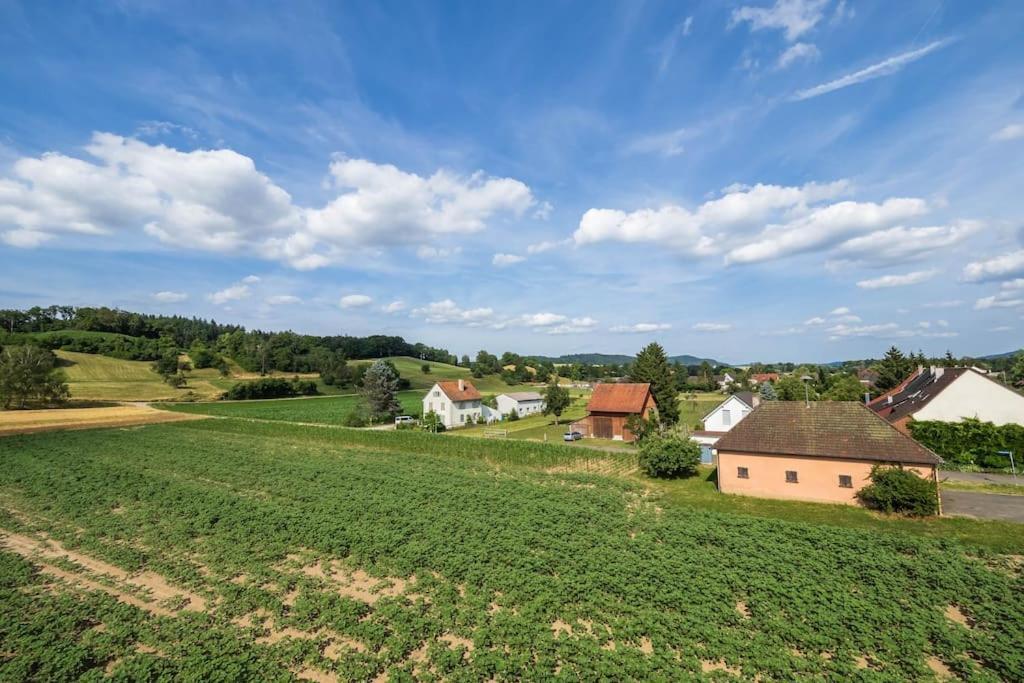 Luxury Apartment On The Rhein Busingen am Hochrhein Екстериор снимка
